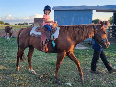 horse lessons|horseback lessons for kids.